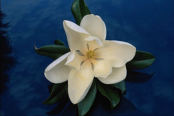 Галина Турулина