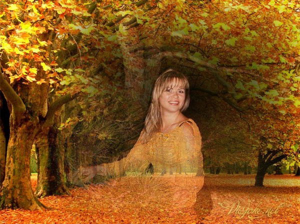 Елена Ляшенко