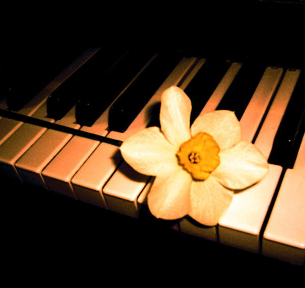 Анна Тимофеева