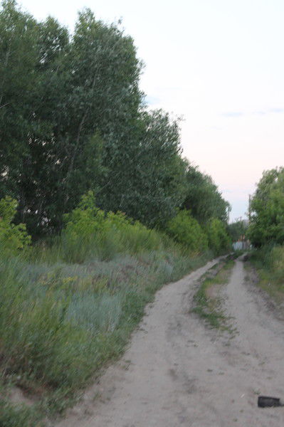 Ольга Анисимова