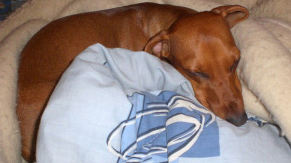 Екатерина Громова