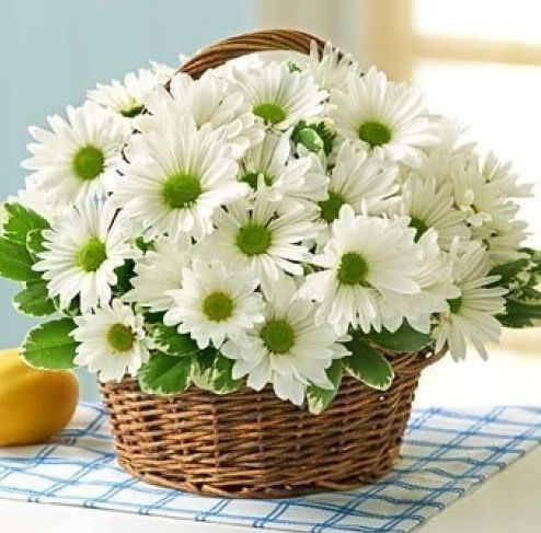 Таня Шарипова