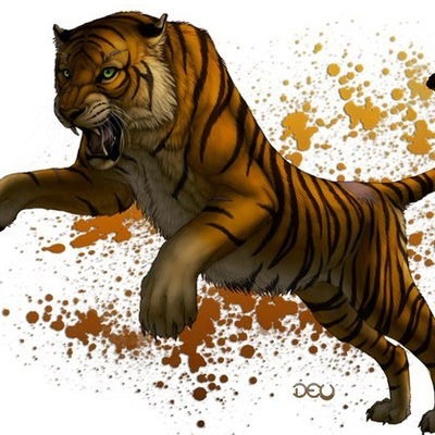 Сара Мирхалилова