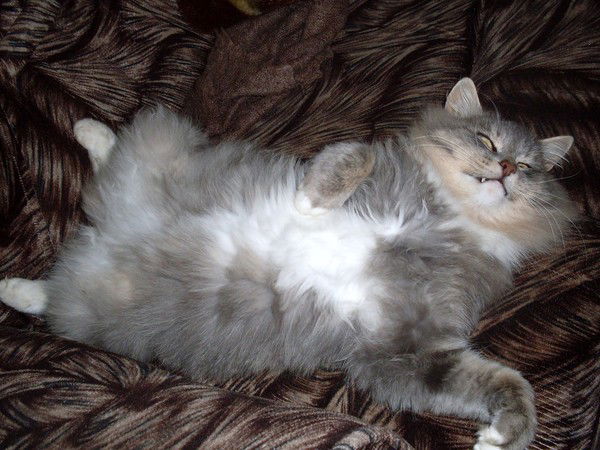 Людмила Осик