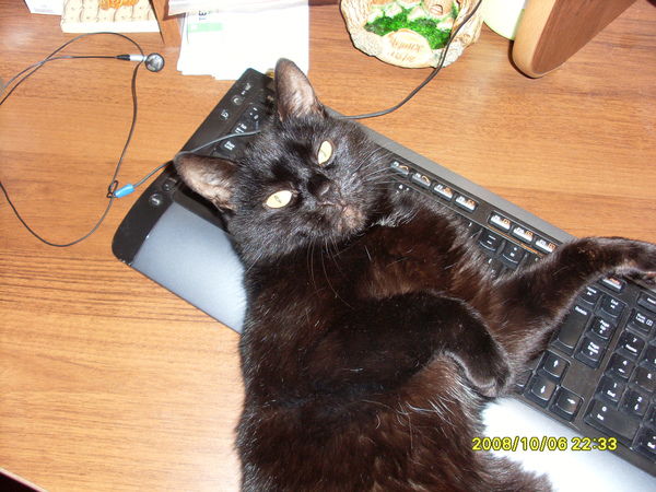 Юлия Шпанцева