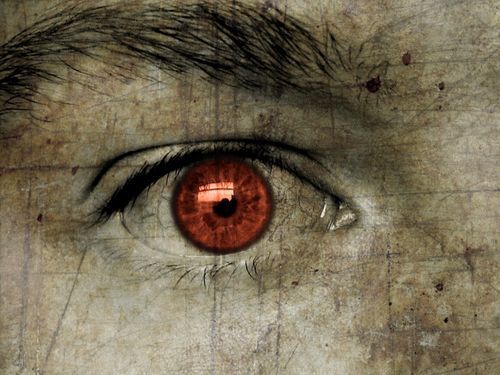 Дмитрий Сейтумеров