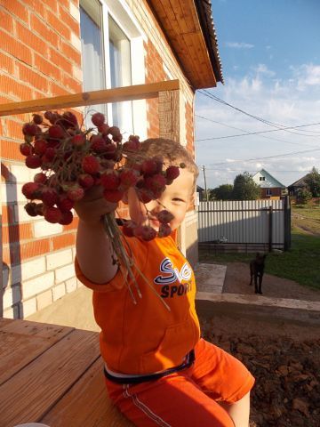 Индира Рамазанова