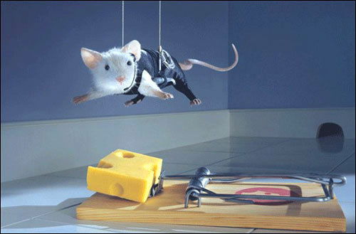 Александр Вахрушев