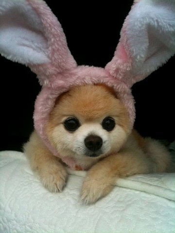 Галинка Блондинка