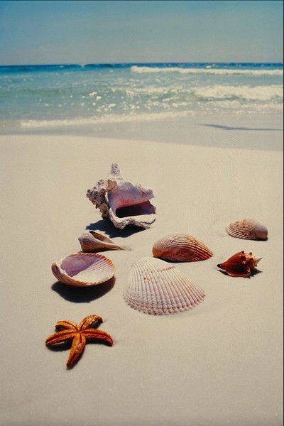 Наталия Астахова