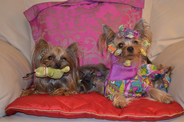 Елена Закалюкина