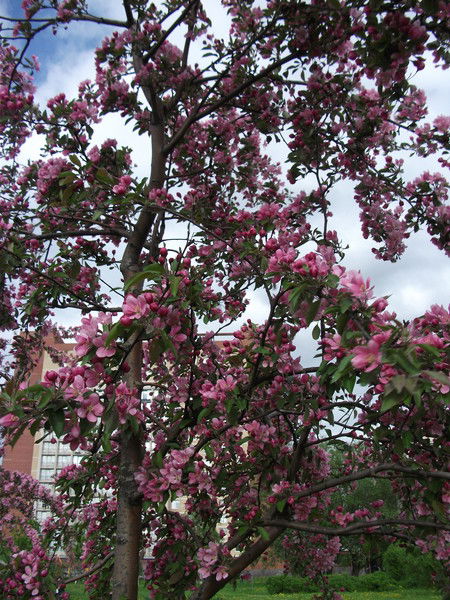 Наталья Оксиленко