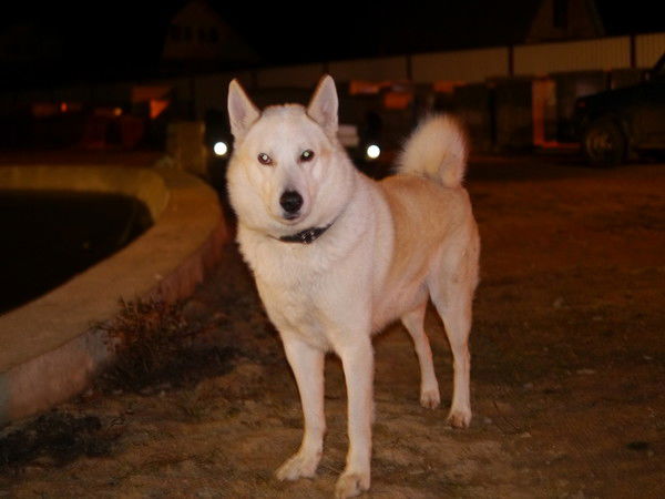 Татьяна Афанасьева