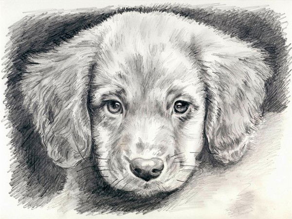 Анна Иманова