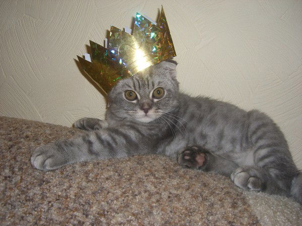 Ольга Кулешова