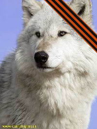 Бурлаков Алексей