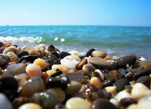 Наталья Рыжих