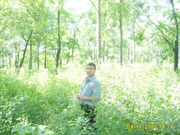 Юрий Попович