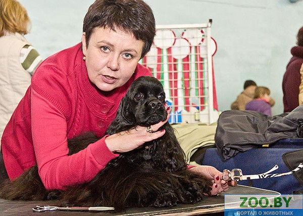 Ирина Шитикова