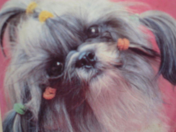 Сергей Яковлев