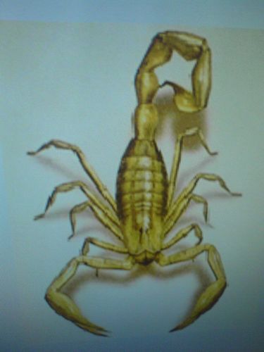 Неизвестно Неизвестно