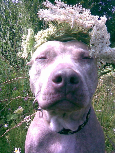 Алина Сопейгене