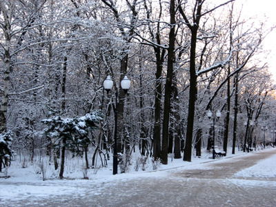 Юлия Сергеева