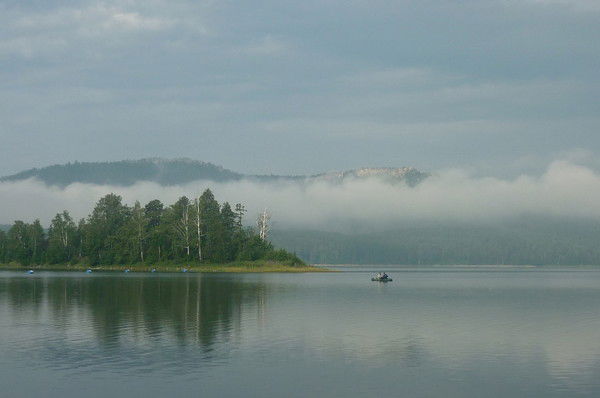 Елена Захарова