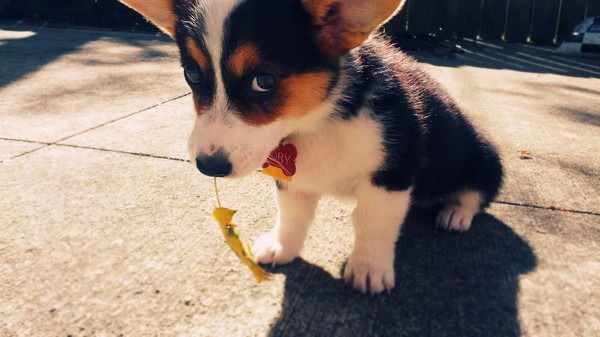 Р У С Л А Н Ибраев