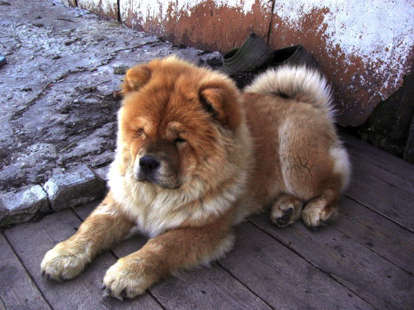 Сергей Медведев