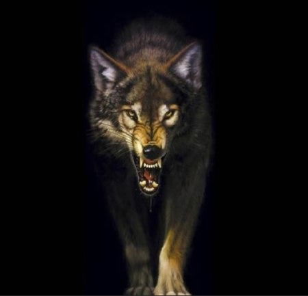 Вадим Павлов