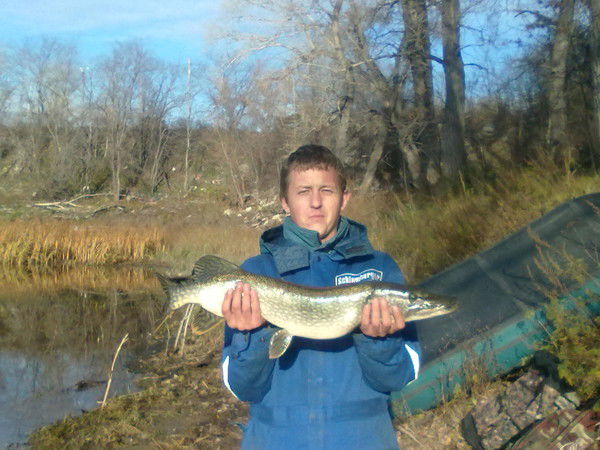 Егор Яковлев