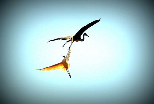 Людмила Трескова