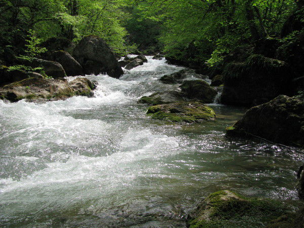 Серофим Банипатич