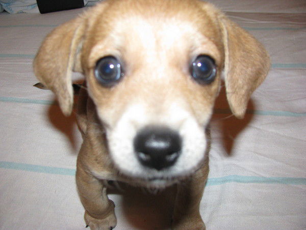 Ольга Сергеевна