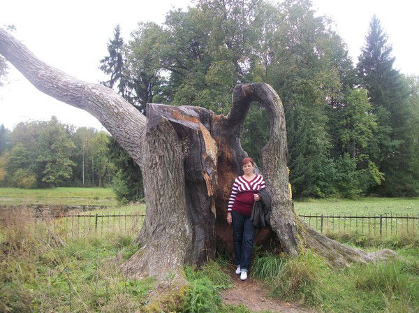 Ирина Глинина