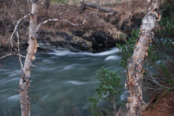 Игорь Малашенко