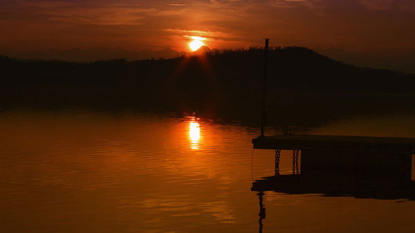 Грибовский Дмитрий