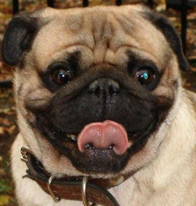 Геор Такаев