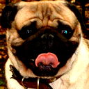 Геор Такаев