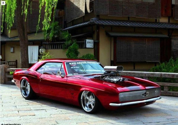 Алексей Магомедов