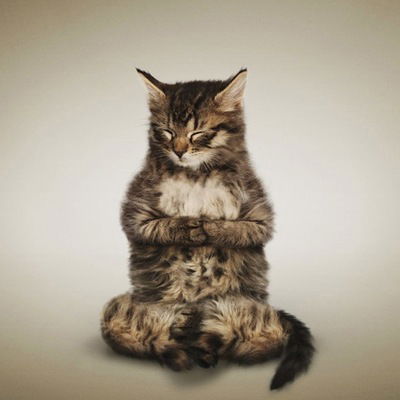 Трофим Агин