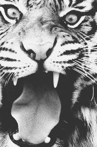 Настя Котова