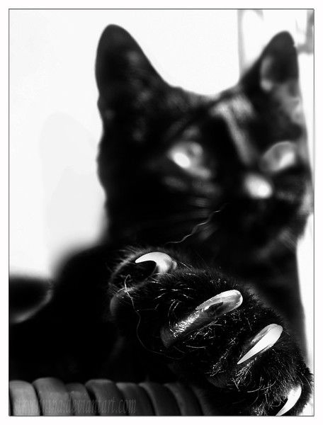 Надежда Макуева