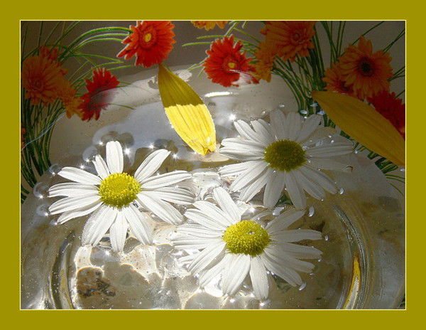 Зульфия Камалова