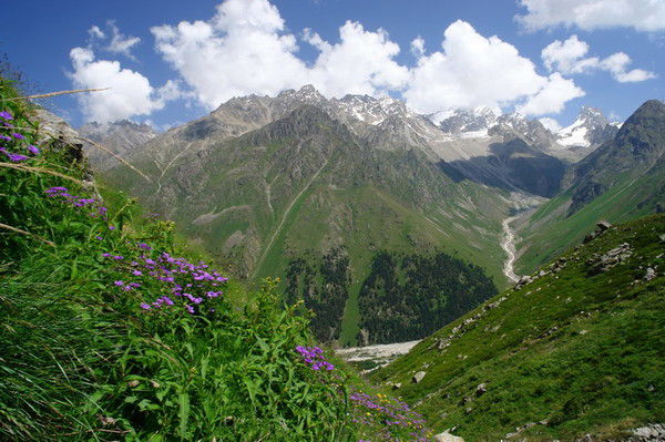 Нуржамал Ескараева