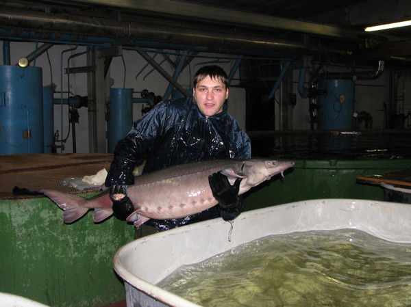 Андрей Куров