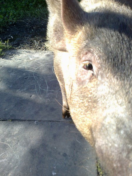 Дмитрий Груздов