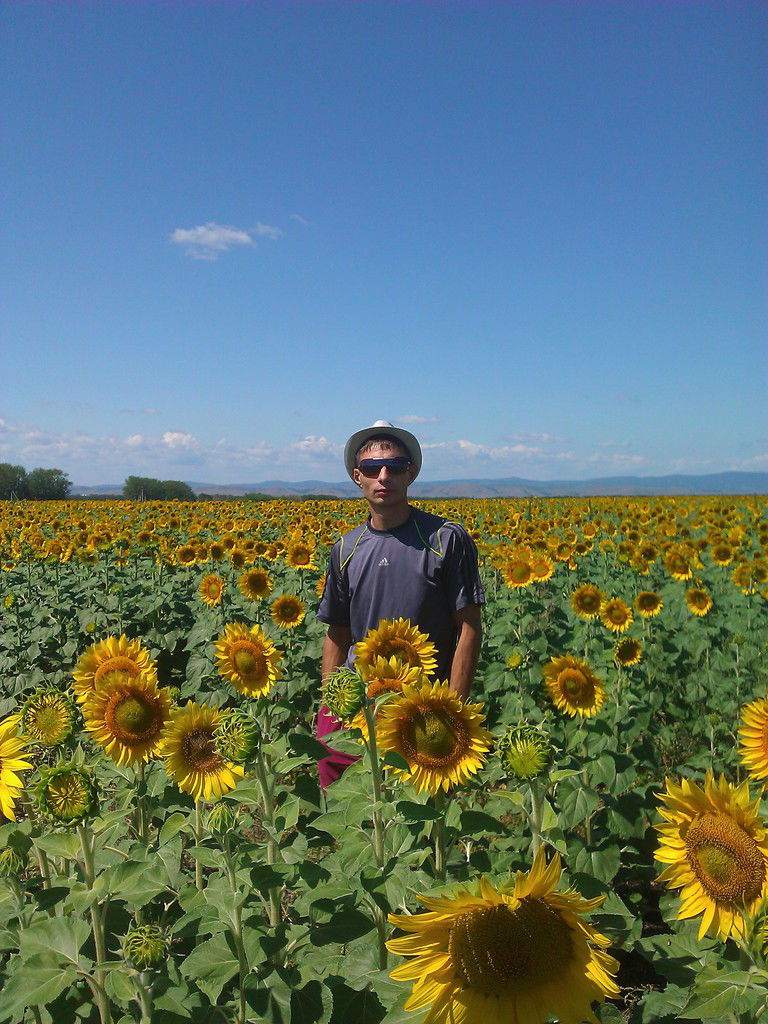 Максим Соколов