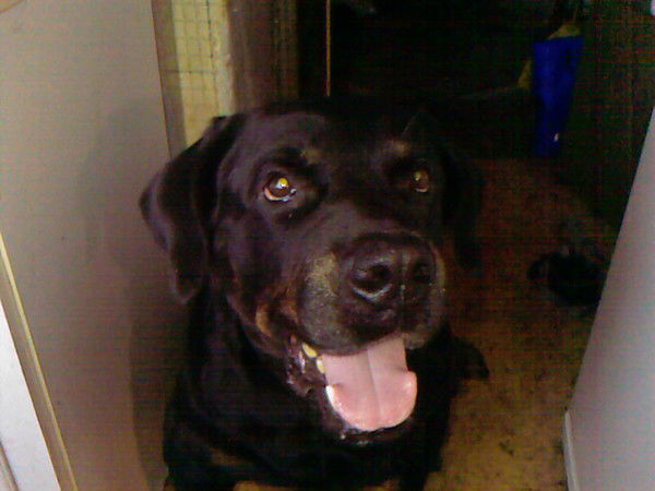 Татьяна Вокзал 81